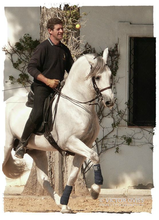 Jerez - Real Escuela Andaluza de Arte Ecuestre